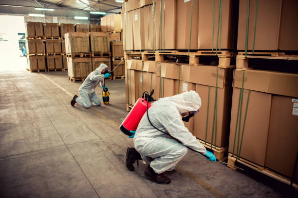 Best Pest Control Near Me  in El Paso, IL