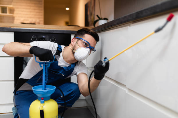 Best Rat Extermination Near Me  in El Paso, IL
