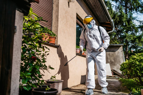 Best Best Pest Control Companies  in El Paso, IL