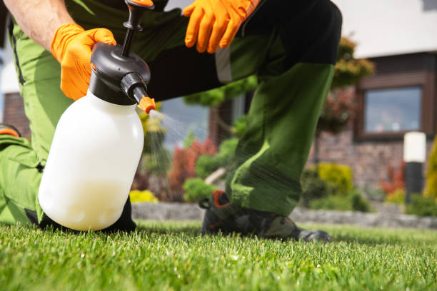 Best Bed Bug Extermination  in El Paso, IL