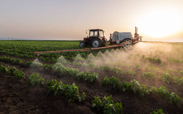Best Ant Control Services  in El Paso, IL