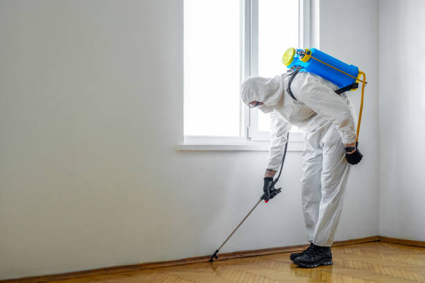 Best Commercial Pest Control Services  in El Paso, IL