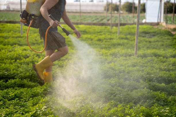 Best Exterminator Services  in El Paso, IL