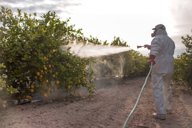 Best Cockroach Control Services  in El Paso, IL