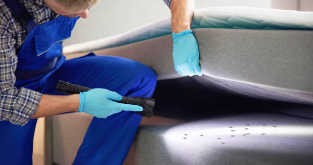 Best Residential Pest Control  in El Paso, IL