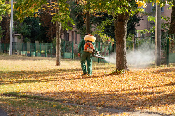 Best Termite Control Services  in El Paso, IL