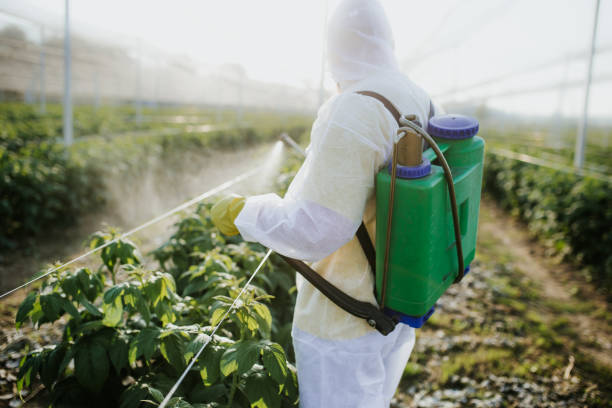 Best Cockroach Control Services  in El Paso, IL